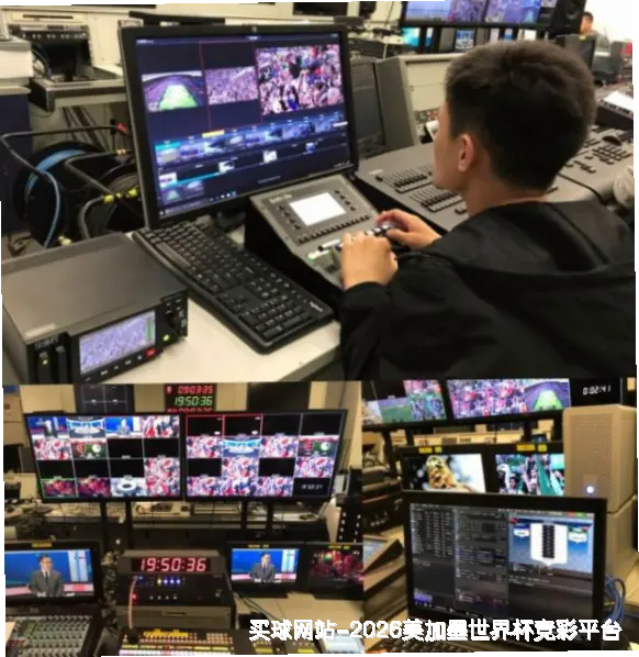 历史命中率展示